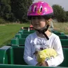 livsykess