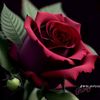 jwry3000710121023