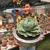 kingmonkey92