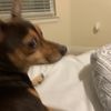 intenselybrisk