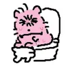 tina_dn1
