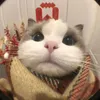 hn_17y