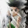 gonillua33