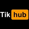 tikhub09