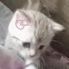 리