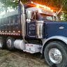 williamgarcia335
