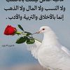 benaissagharbi2