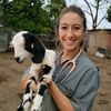 Animal.Doctor.Leigh