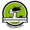 phoinamtrongtainha.com