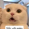 departmentofluuhuong3
