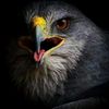 mr_murat73