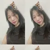 be.iu333
