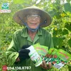 Trồng Cây Không Khó