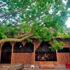 nhatphienbangtam12
