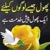 tahirahmad854