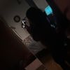 dometuty.26