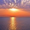 youssef.tarek203
