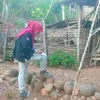 endangsyaban