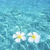 summer.aquamarine