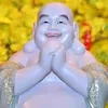 tannguyengmail.com