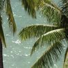 ayounfl_4