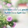 abouismail