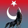 kadirtok25