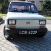 karzelek__2115