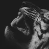 deinefreude24