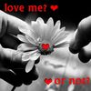 raed11655