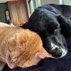 ralph_and_wendy