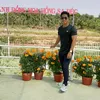 hoang_lam_1989