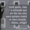 tamy_tamy.2023