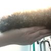 simply_a_groomer