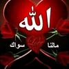 user7880538404902