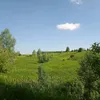 mordacnaglaia