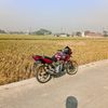 maswh_03