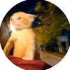 nameless.catt