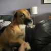 riley1357924680