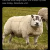 joe050500