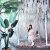 kimyumi247