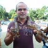 alvaropacheco44