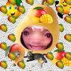 rebeccamangoes