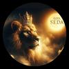 seda.6o