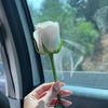 karima.9