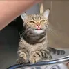 user4lgtwivb4i