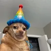 buonnquadi19