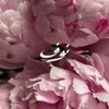 nouft003