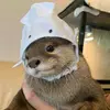 otterinabottle