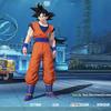 knk_goku12